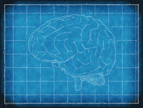 blueprint of a brain